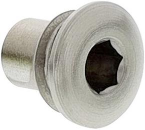 Sicherungsschraube satin platinum LINUS-S M6x5,5 SO