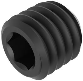 Locking screw M5x0,8x5 Hex2.5 BL