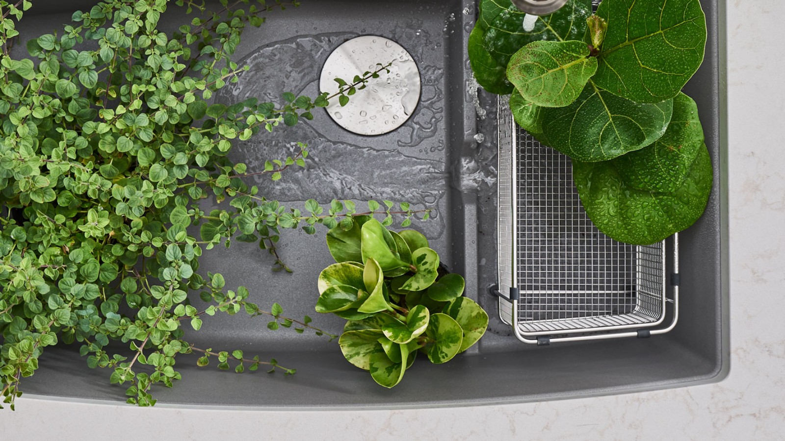 The Best Sink Accessories For Plants & Gardening BLANCO