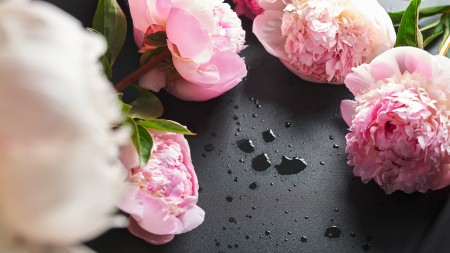 Schwarze Silgranit-Spüle mit frischen Blumen